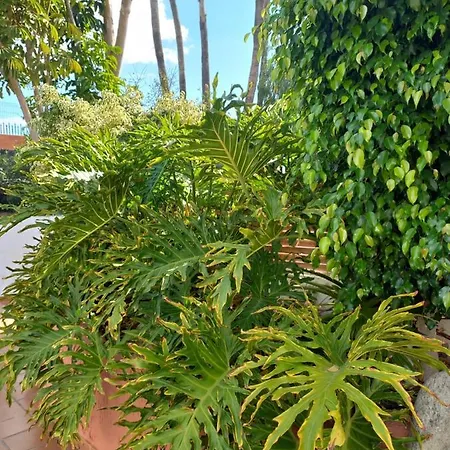2Bedrooms Apartment With Amazing Terrace And Swimmingpool Apartamento Costa Del Silencio
